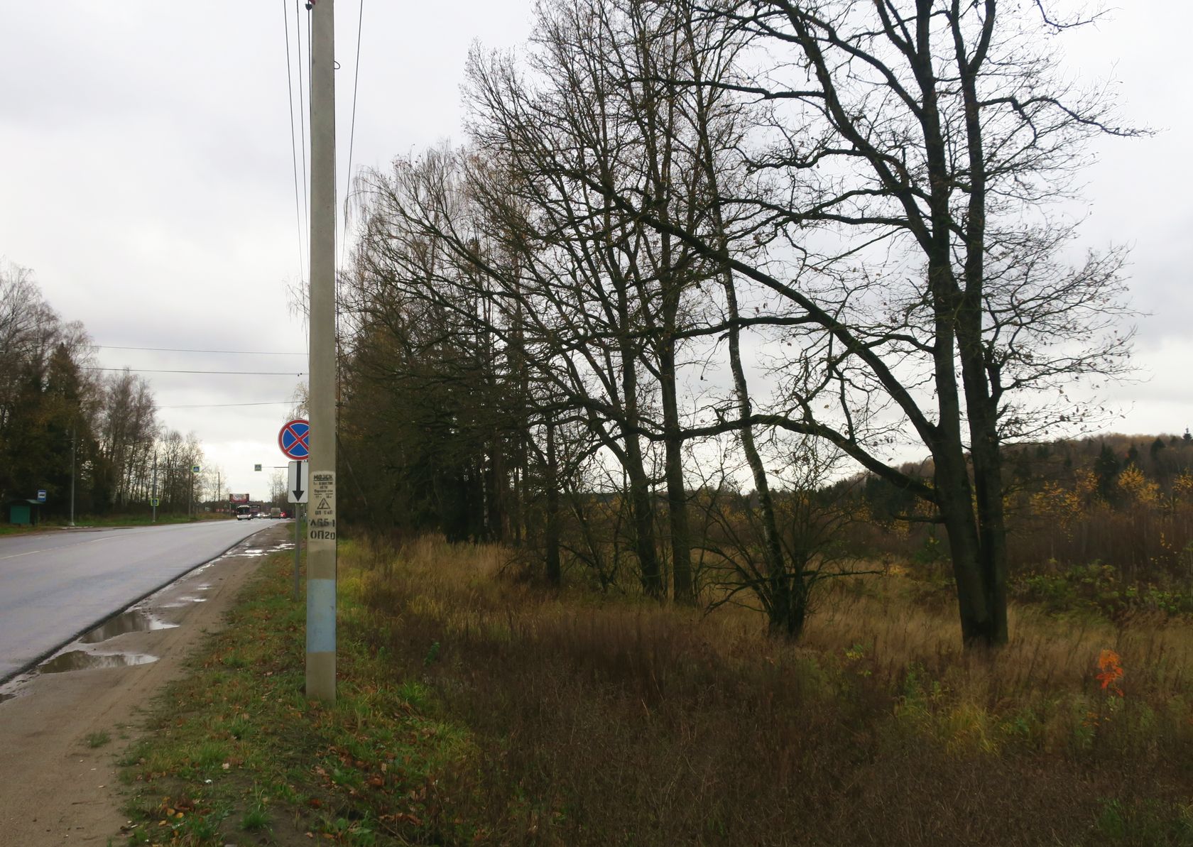 6-й км Красноармейского шоссе, image of landscape/habitat.