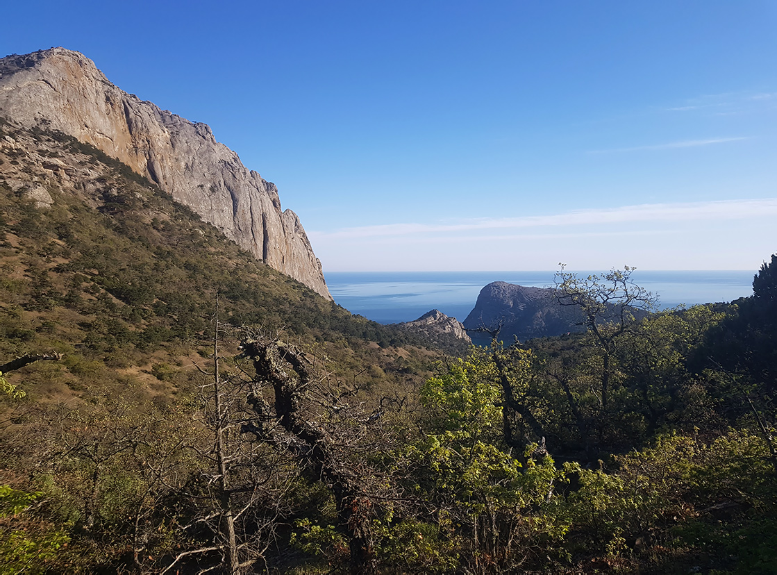 Сокол, image of landscape/habitat.