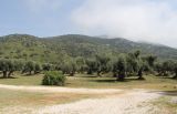 Image of landscape