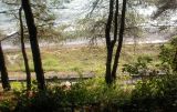 Image of landscape