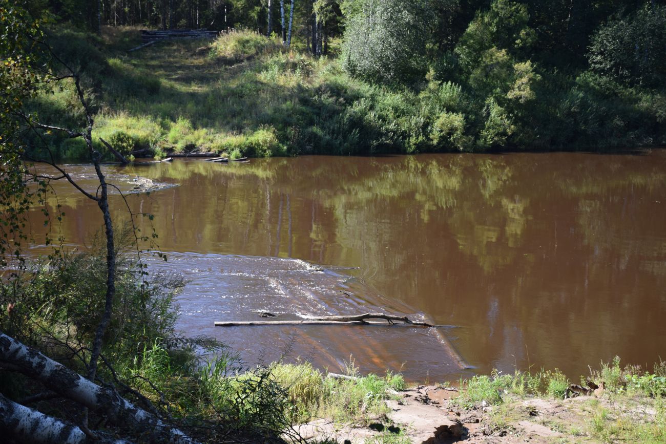 Окрестности устья реки Вига, image of landscape/habitat.
