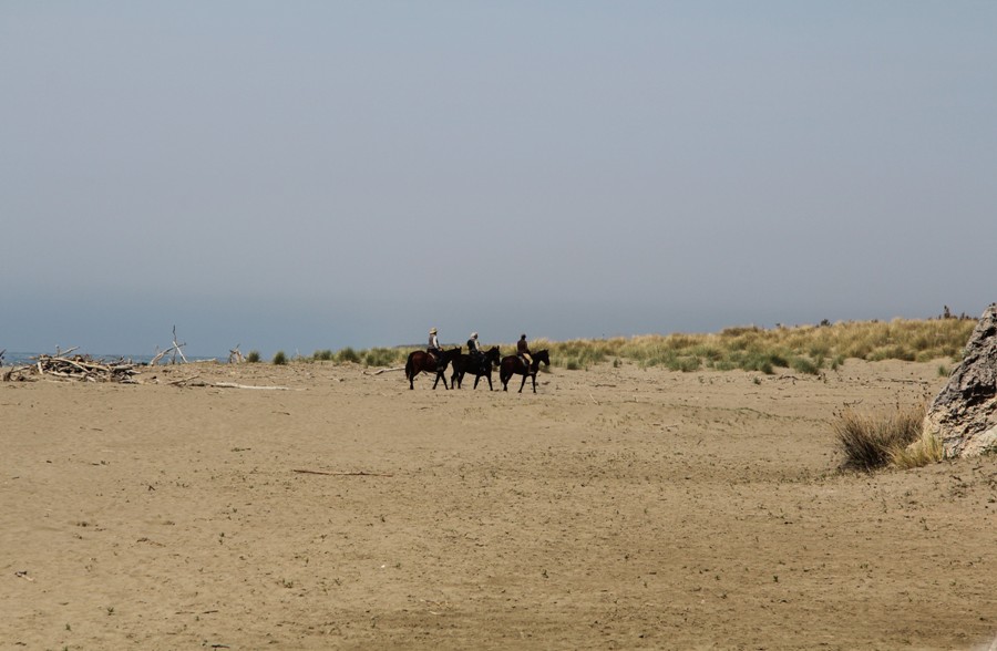 Маремма, image of landscape/habitat.