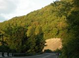 Лазаревское, image of landscape/habitat.