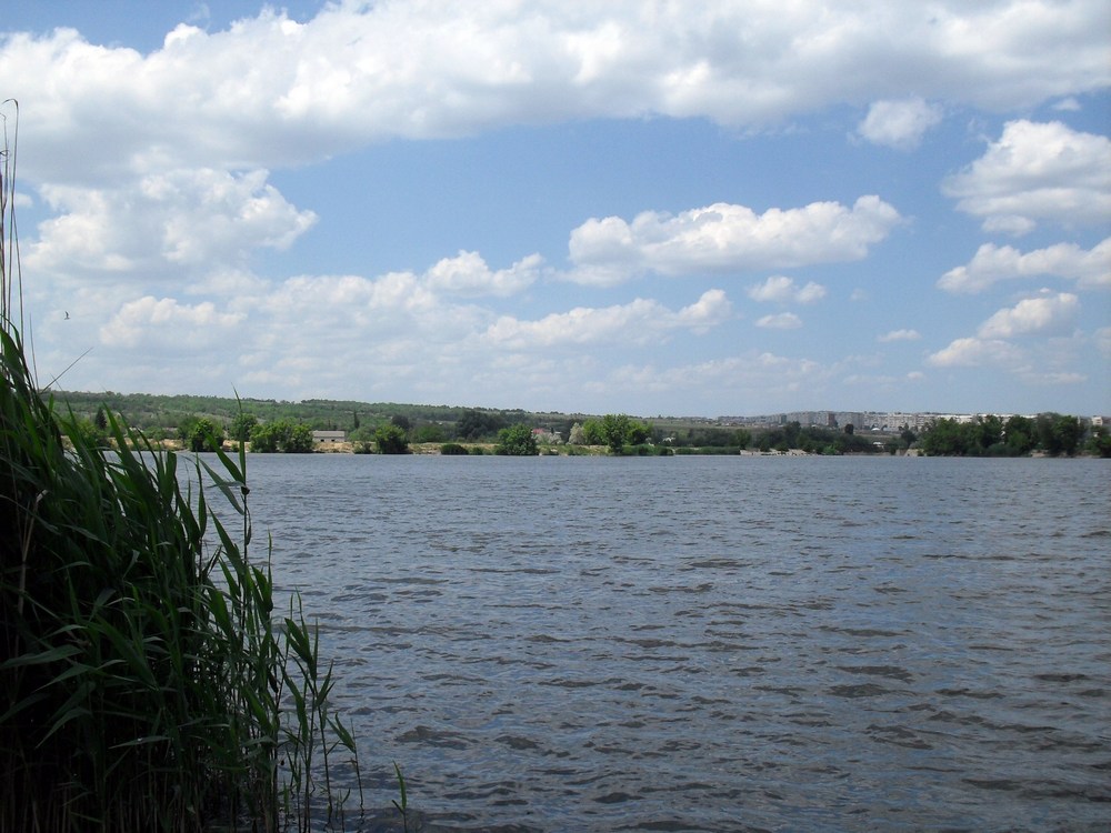 Луганск и окрестности, image of landscape/habitat.