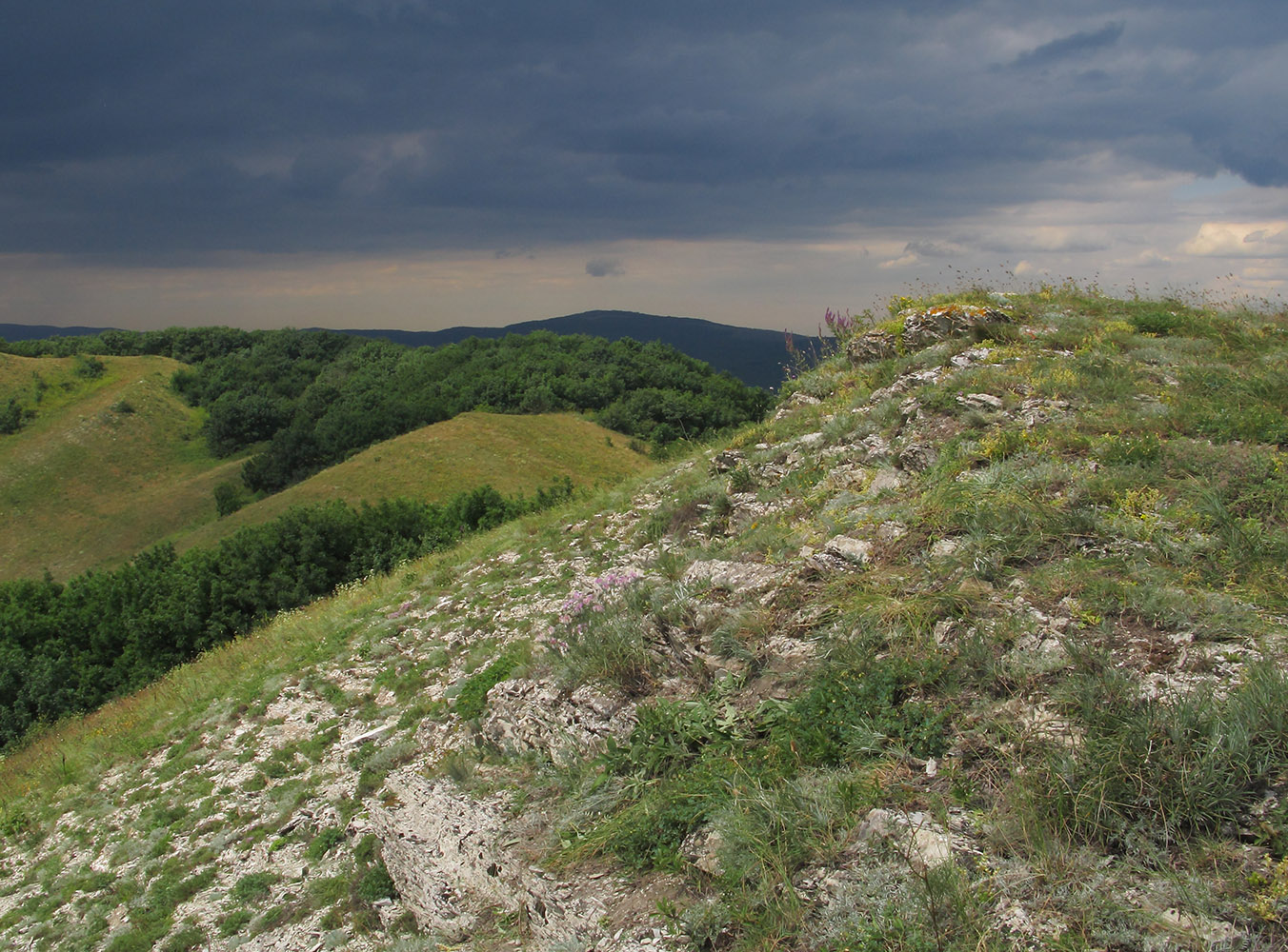 Вершина 462, image of landscape/habitat.