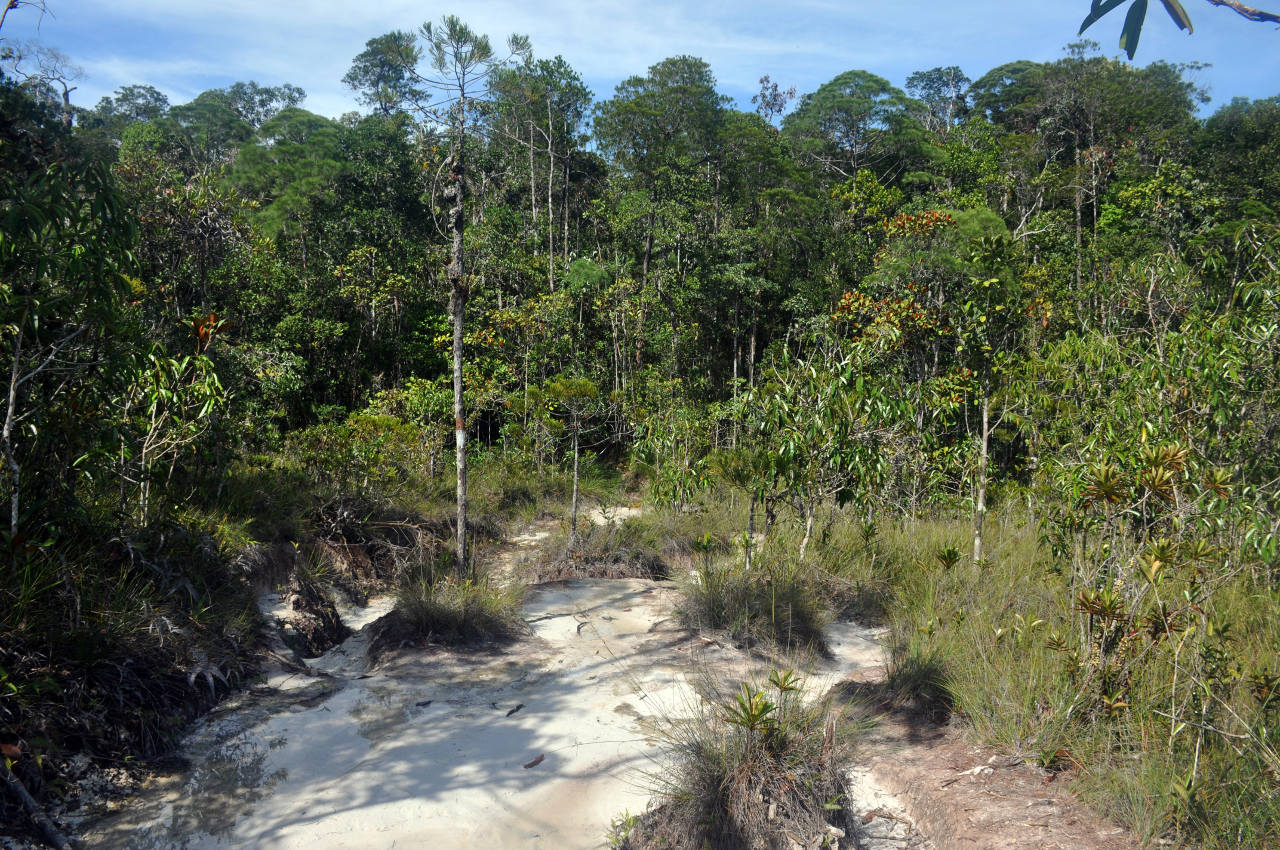 Национальный парк "Бако", image of landscape/habitat.