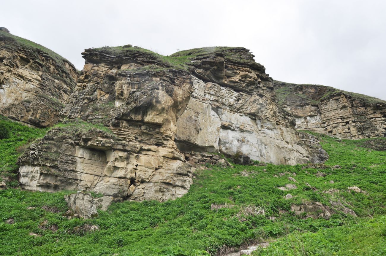 Окрестности скалы Арка, image of landscape/habitat.