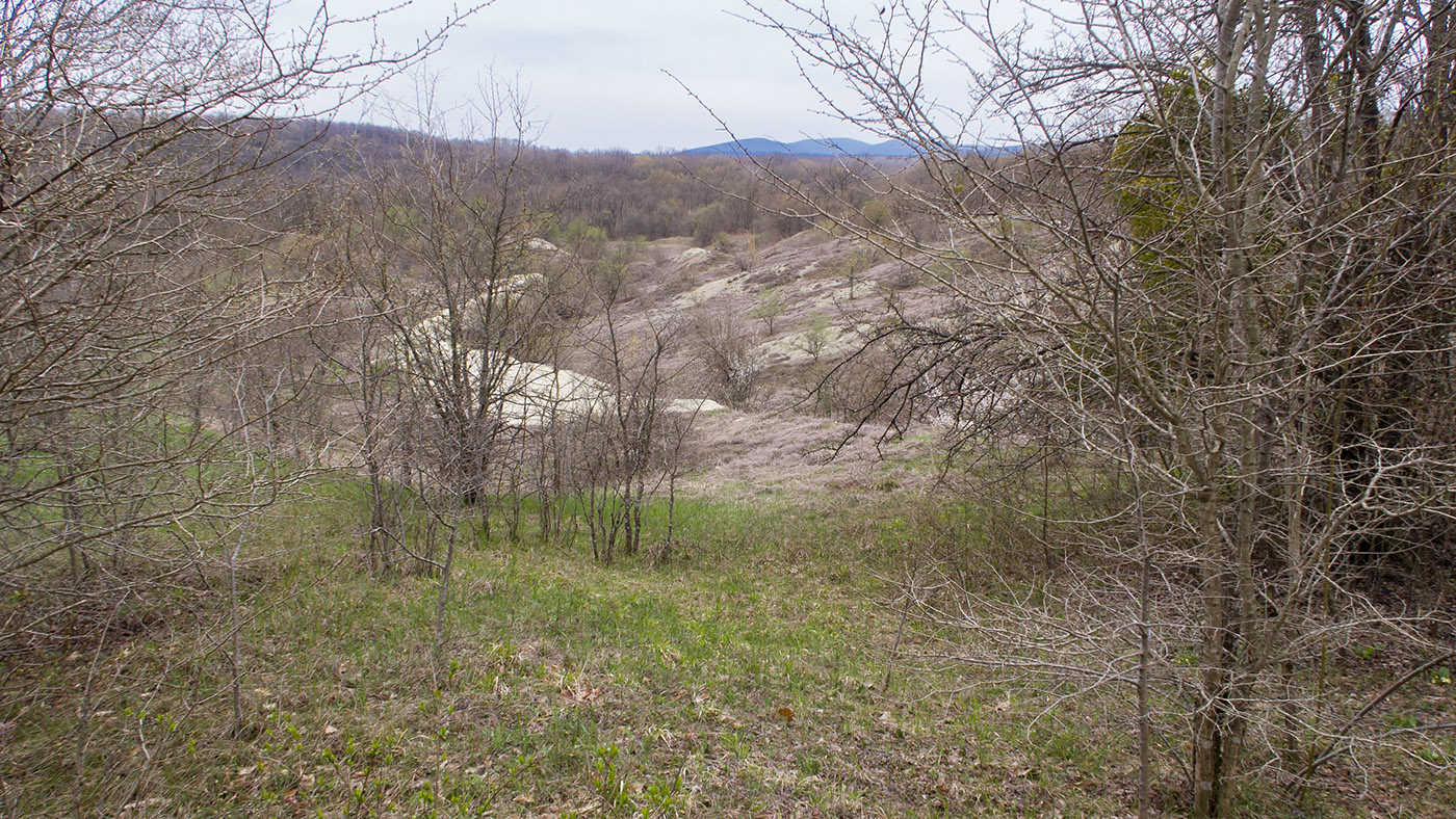 Карьер в Темрючках, image of landscape/habitat.