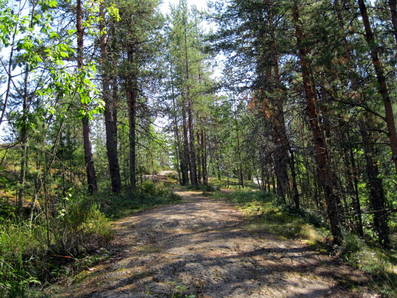 Кончозеро, image of landscape/habitat.