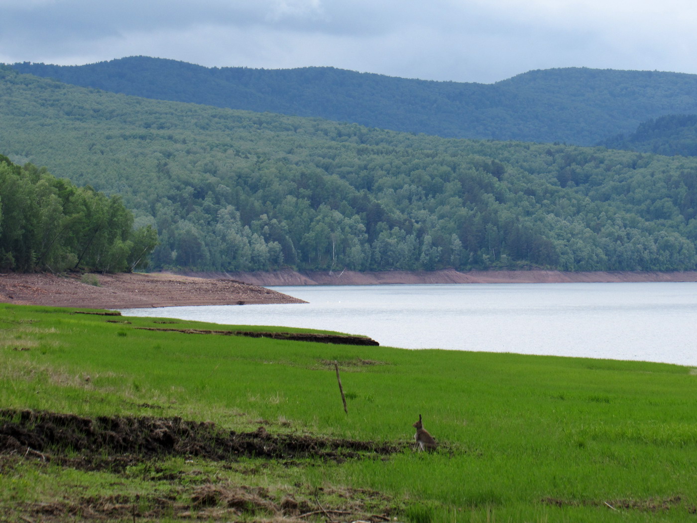 Убейский залив, image of landscape/habitat.