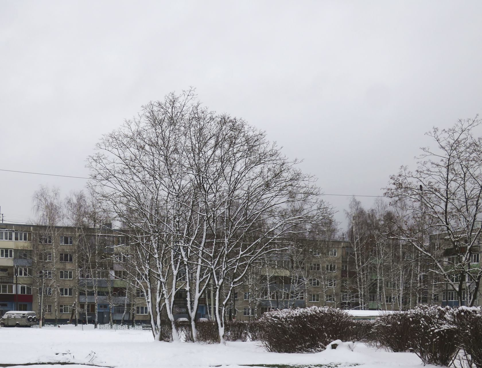 Электрогорск и его окрестности, image of landscape/habitat.