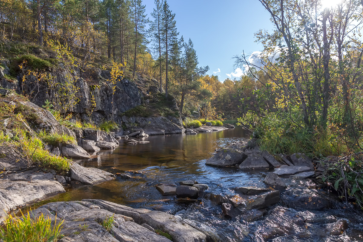 Река Ура, image of landscape/habitat.