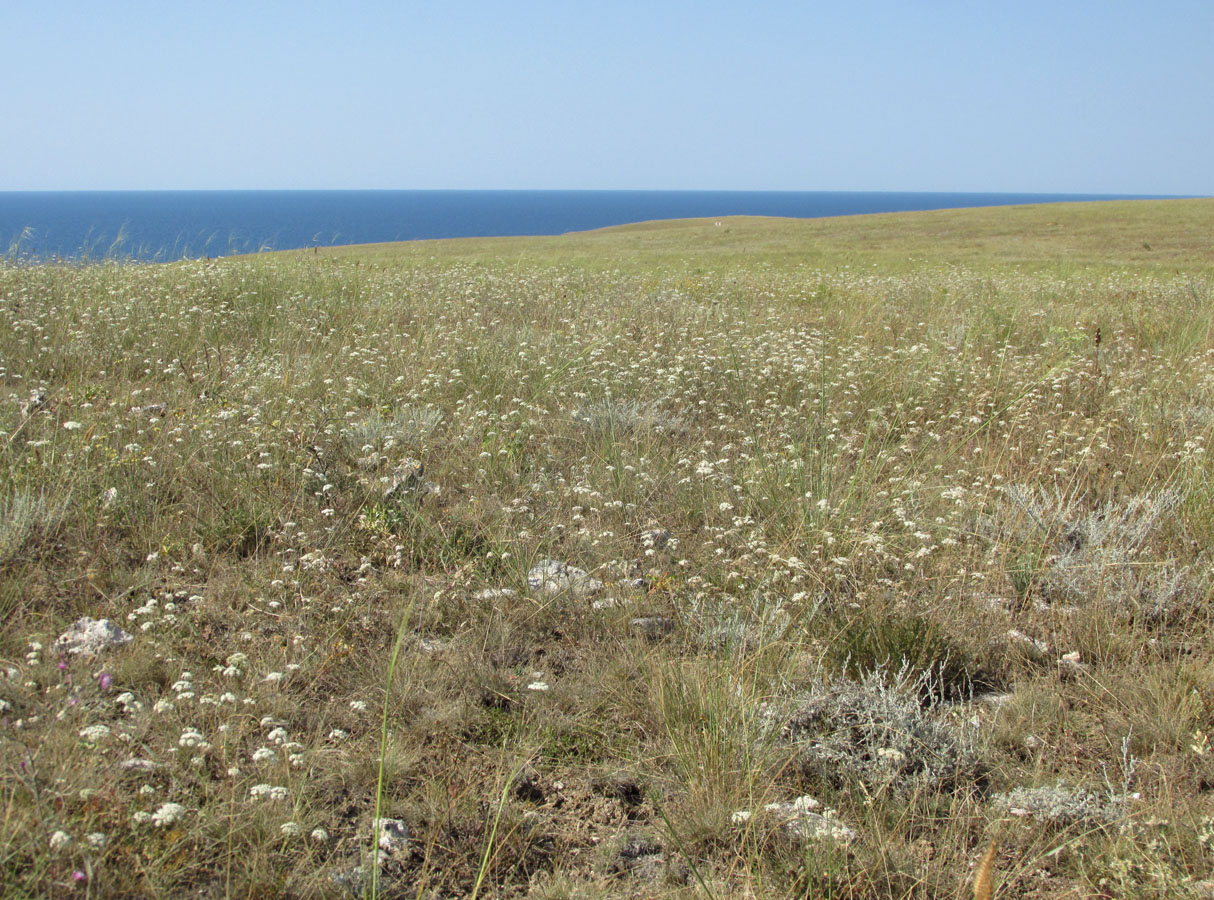 Большой Кастель, image of landscape/habitat.