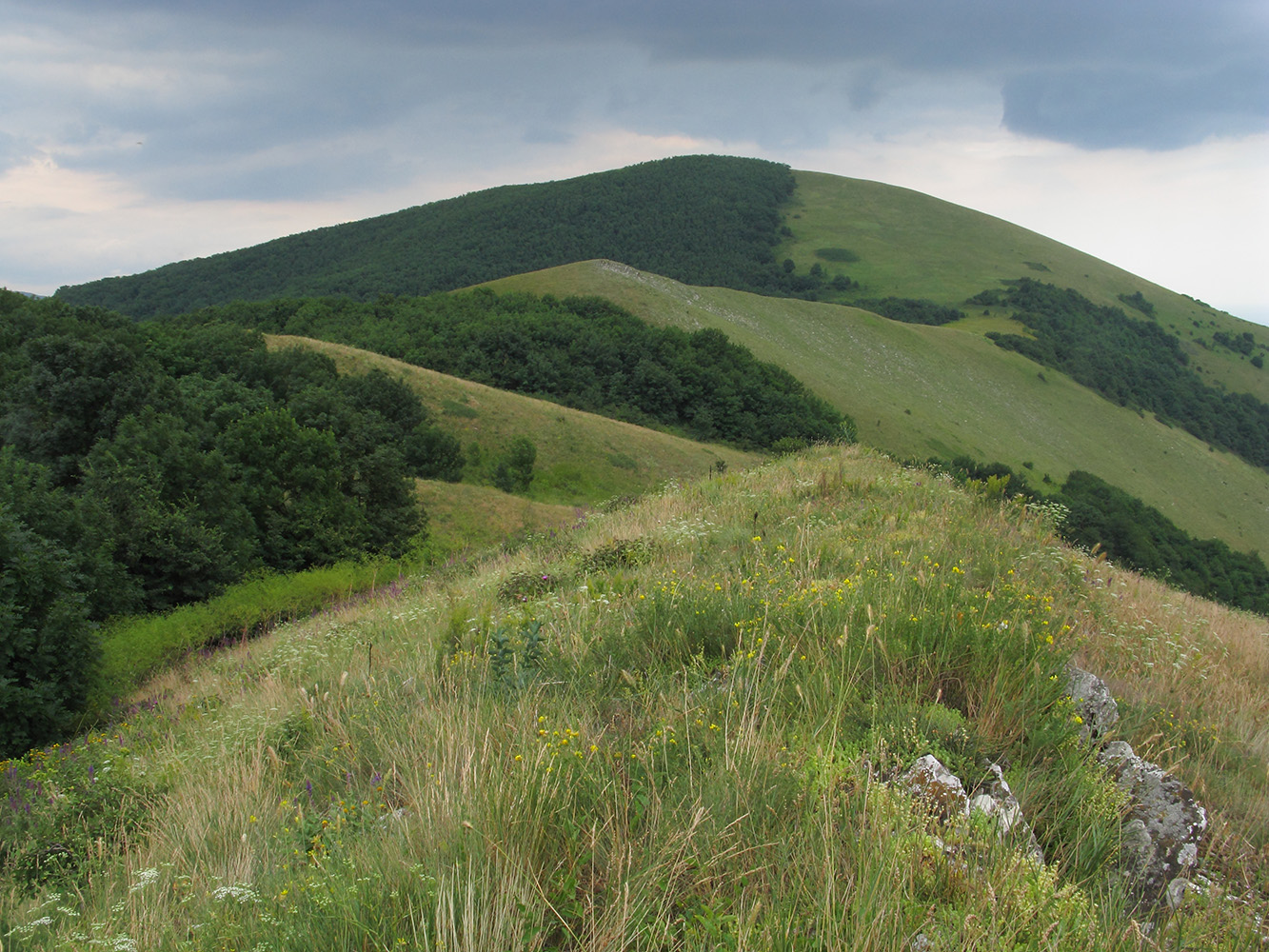 Вершина 462, image of landscape/habitat.