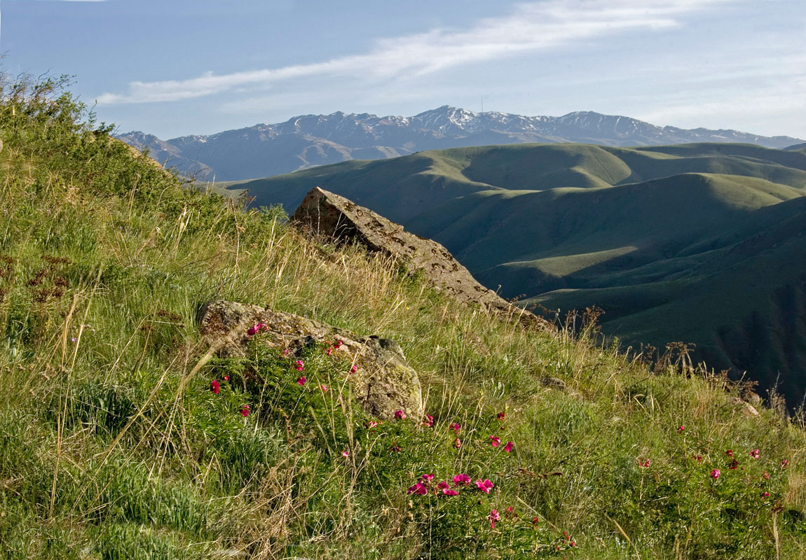 Ущелье Кук-Креу, image of landscape/habitat.