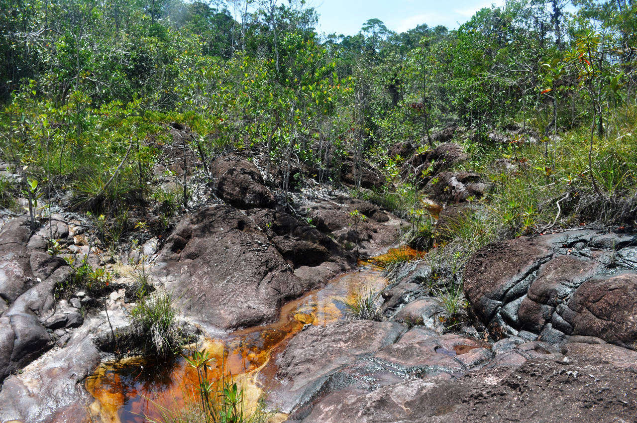 Национальный парк "Бако", image of landscape/habitat.