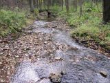 Приокско-Террасный заповедник, image of landscape/habitat.