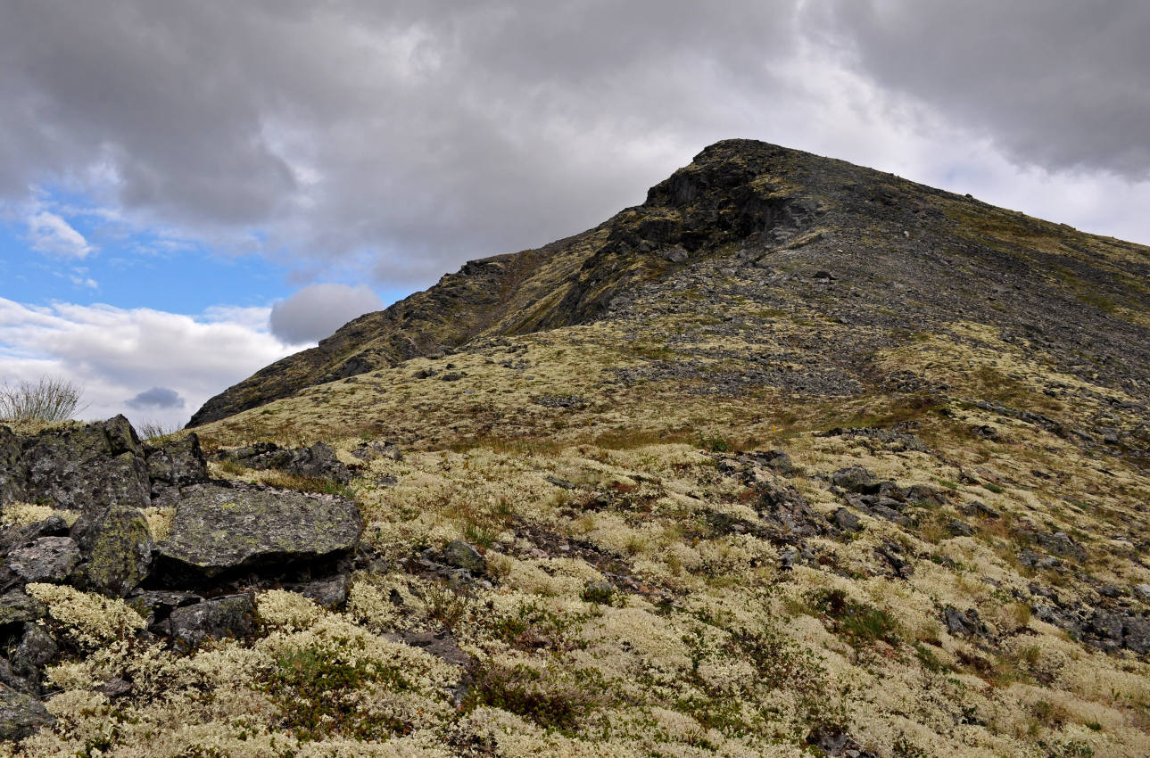 Пик Марченко, image of landscape/habitat.