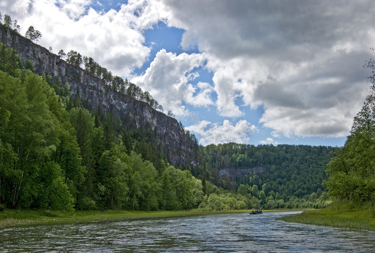 Пятилистник, image of landscape/habitat.