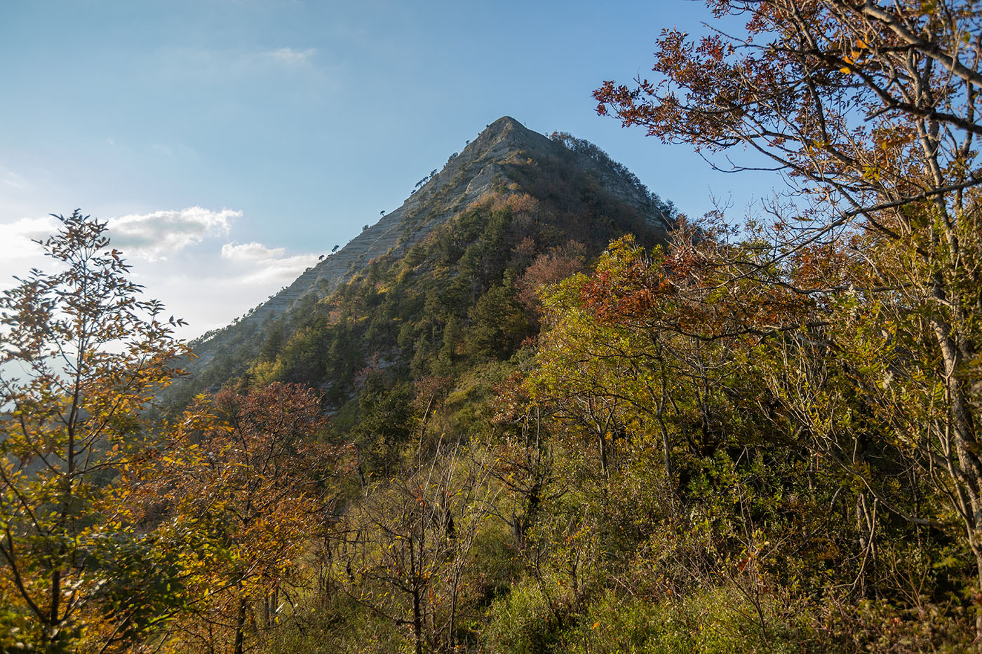 Папай, image of landscape/habitat.