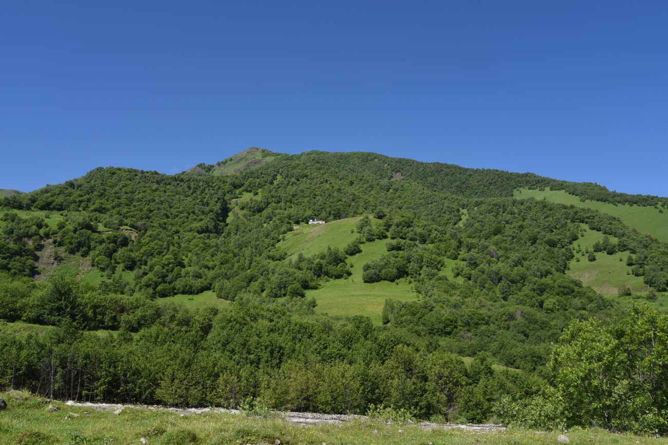 Селение Чайры и окрестности, image of landscape/habitat.