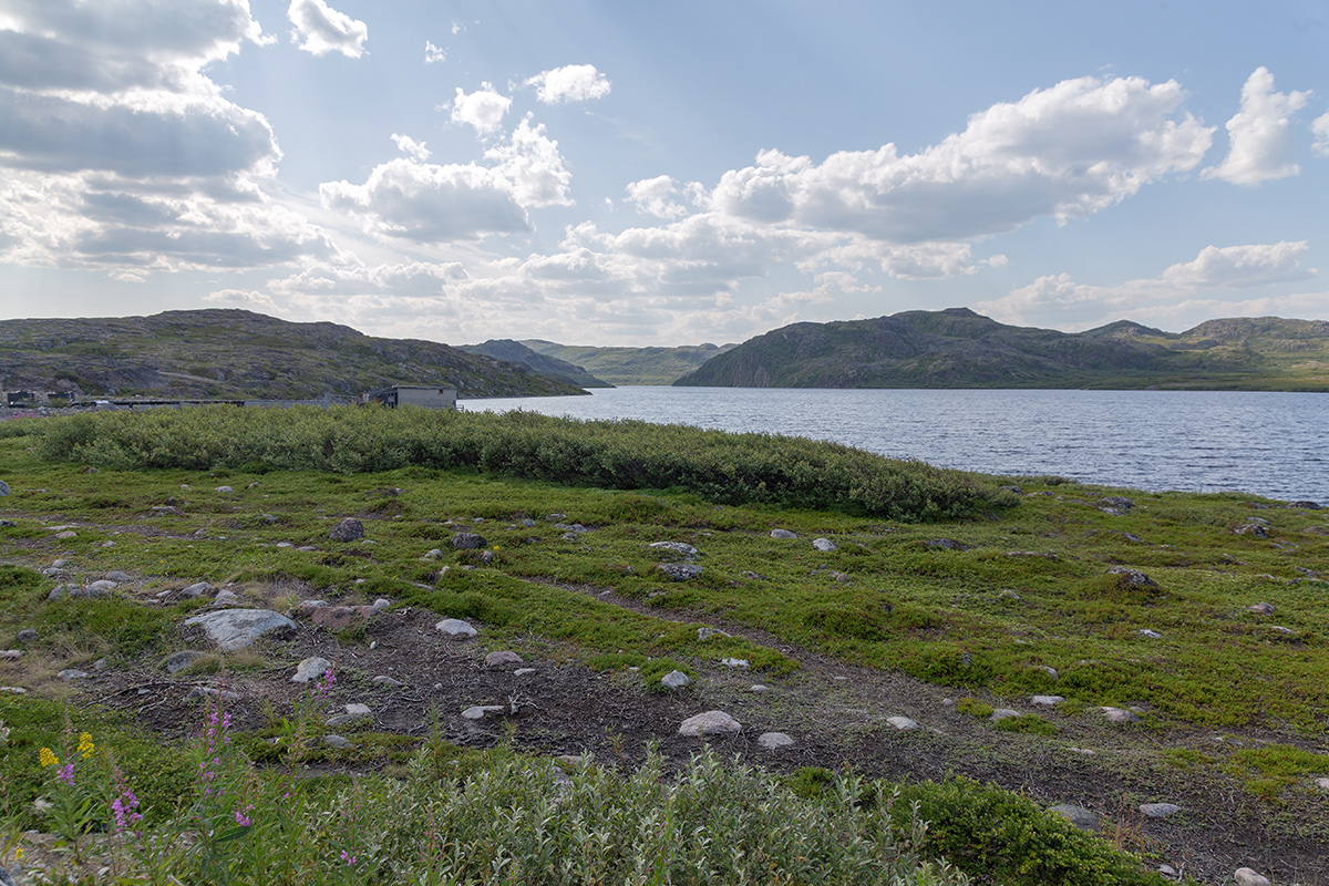 Териберка, image of landscape/habitat.