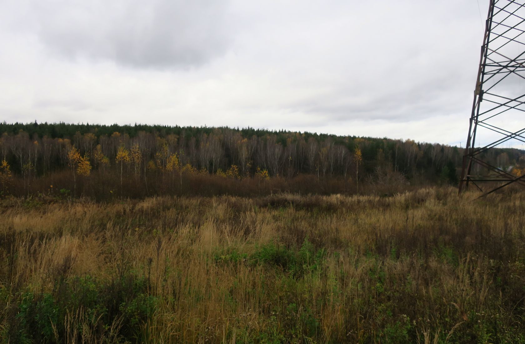 6-й км Красноармейского шоссе, image of landscape/habitat.