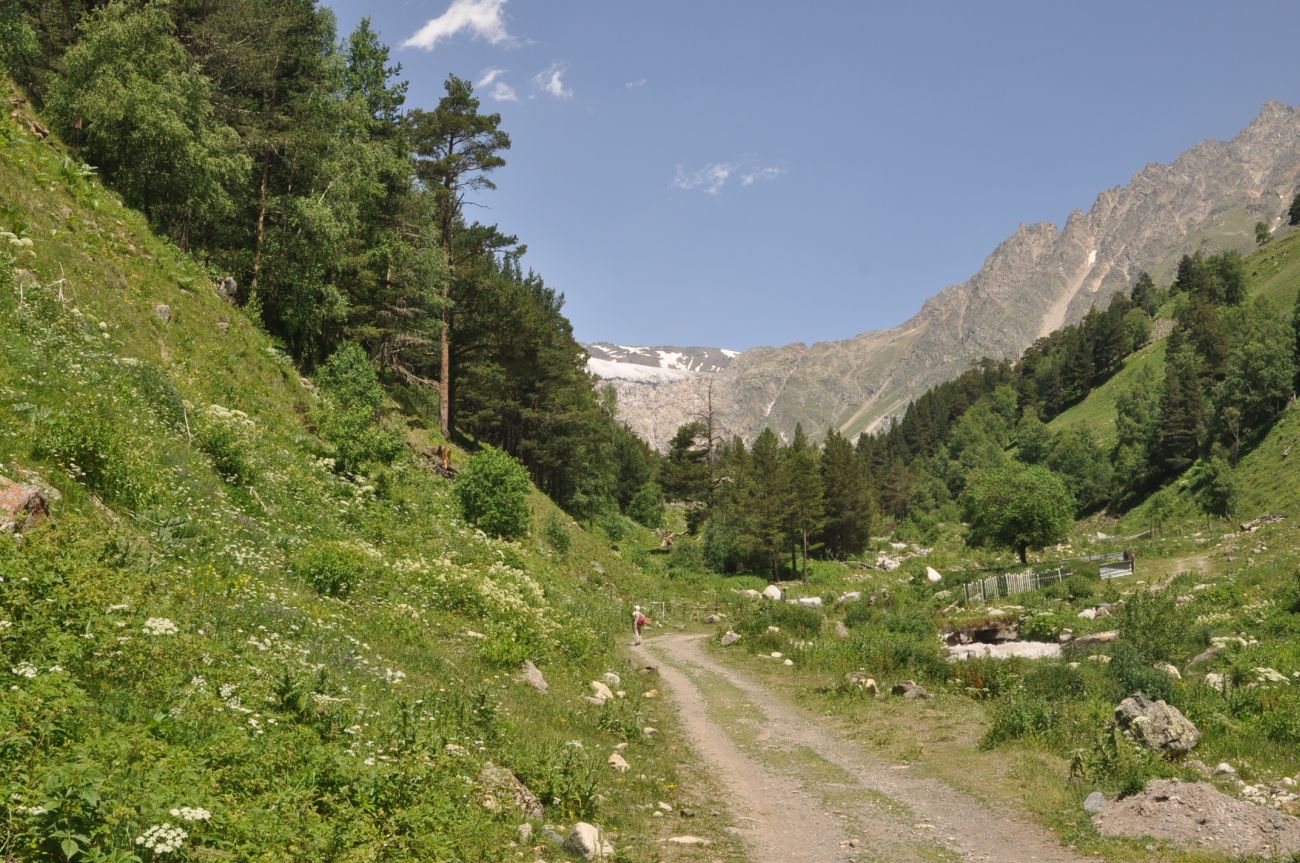 Посёлок Терскол, image of landscape/habitat.