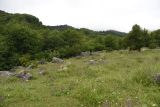 Image of landscape