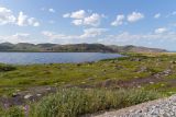 Териберка, image of landscape/habitat.