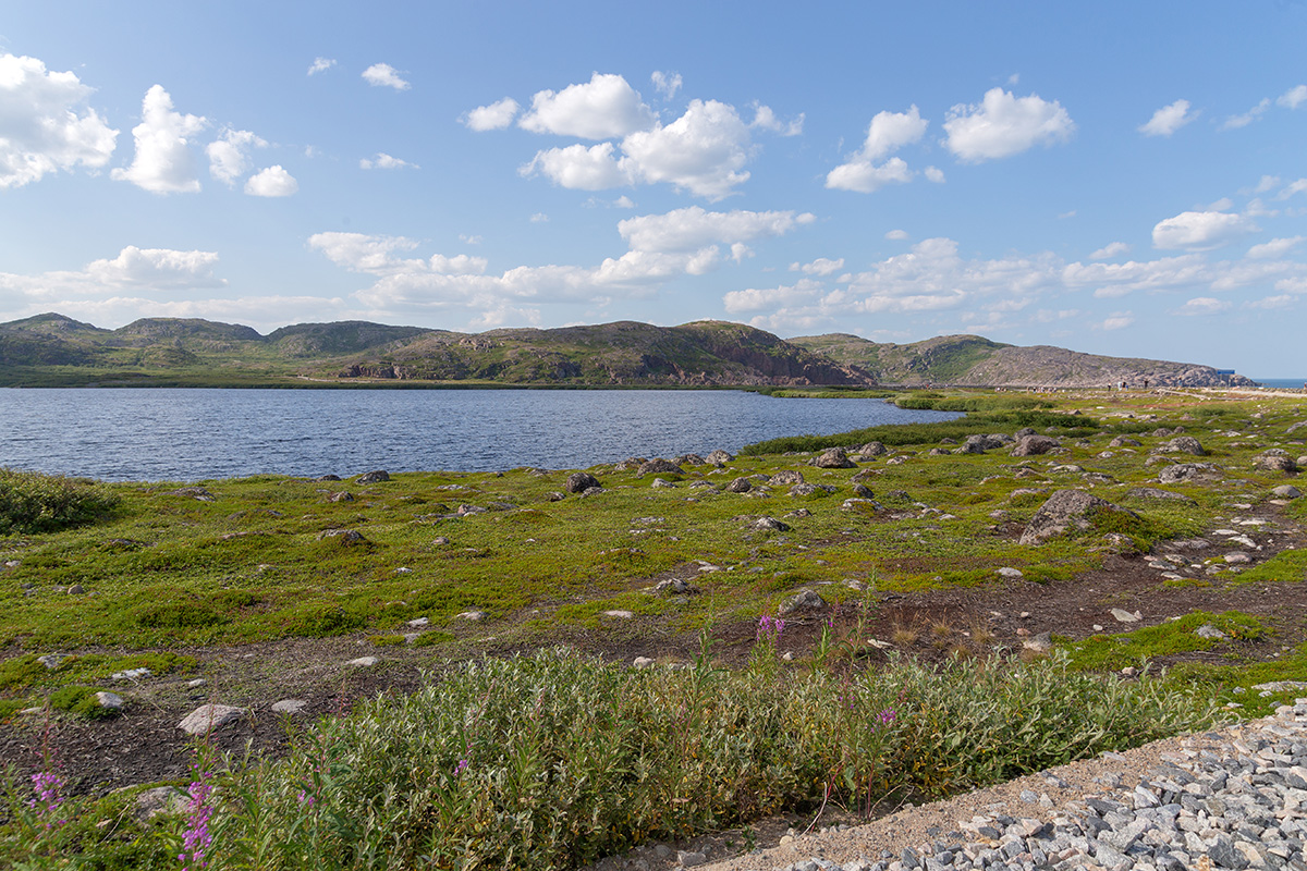 Териберка, image of landscape/habitat.