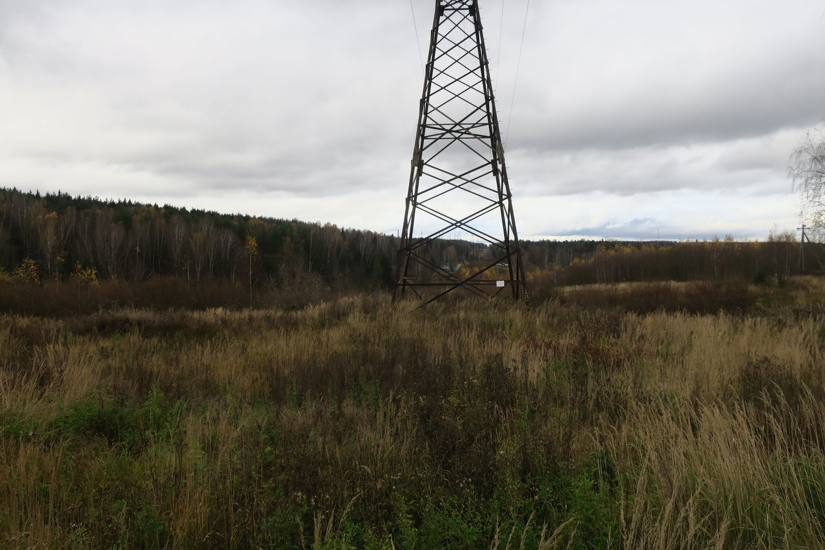 6-й км Красноармейского шоссе, image of landscape/habitat.