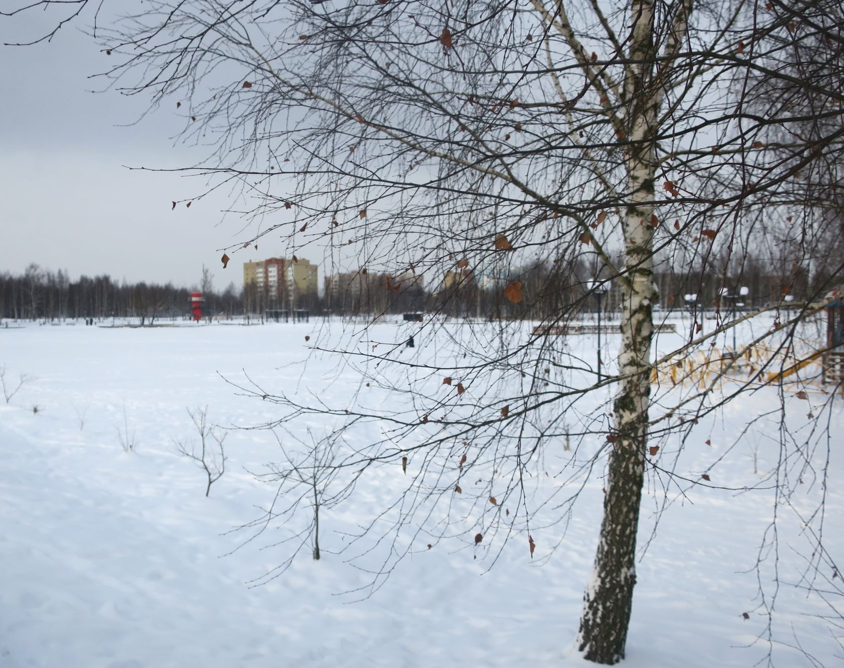 Стахановское озеро, image of landscape/habitat.