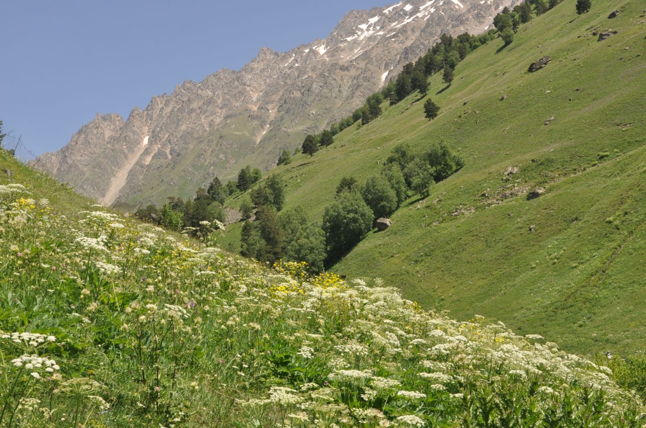 Посёлок Терскол, image of landscape/habitat.