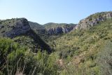 Image of landscape