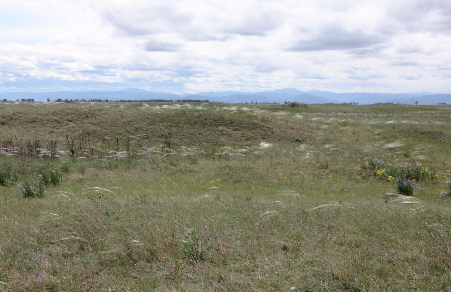 Окрестности Аршаново, image of landscape/habitat.