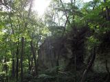 Image of landscape