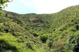 Image of landscape
