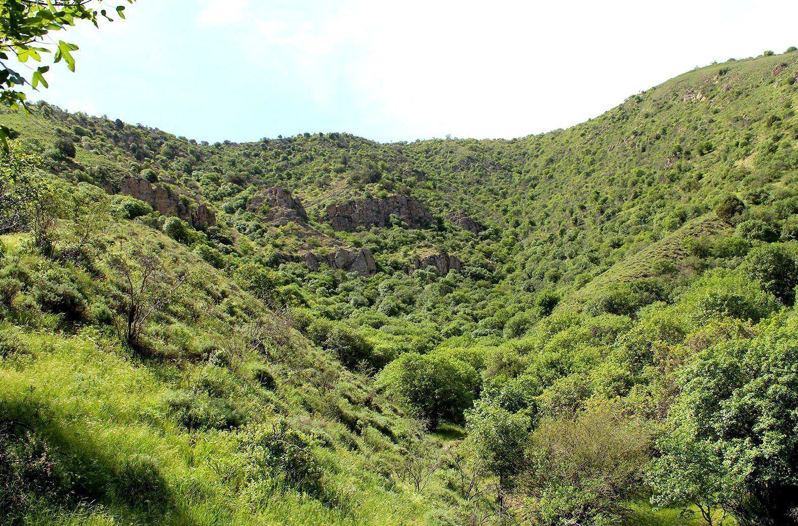 Гуланлы, image of landscape/habitat.