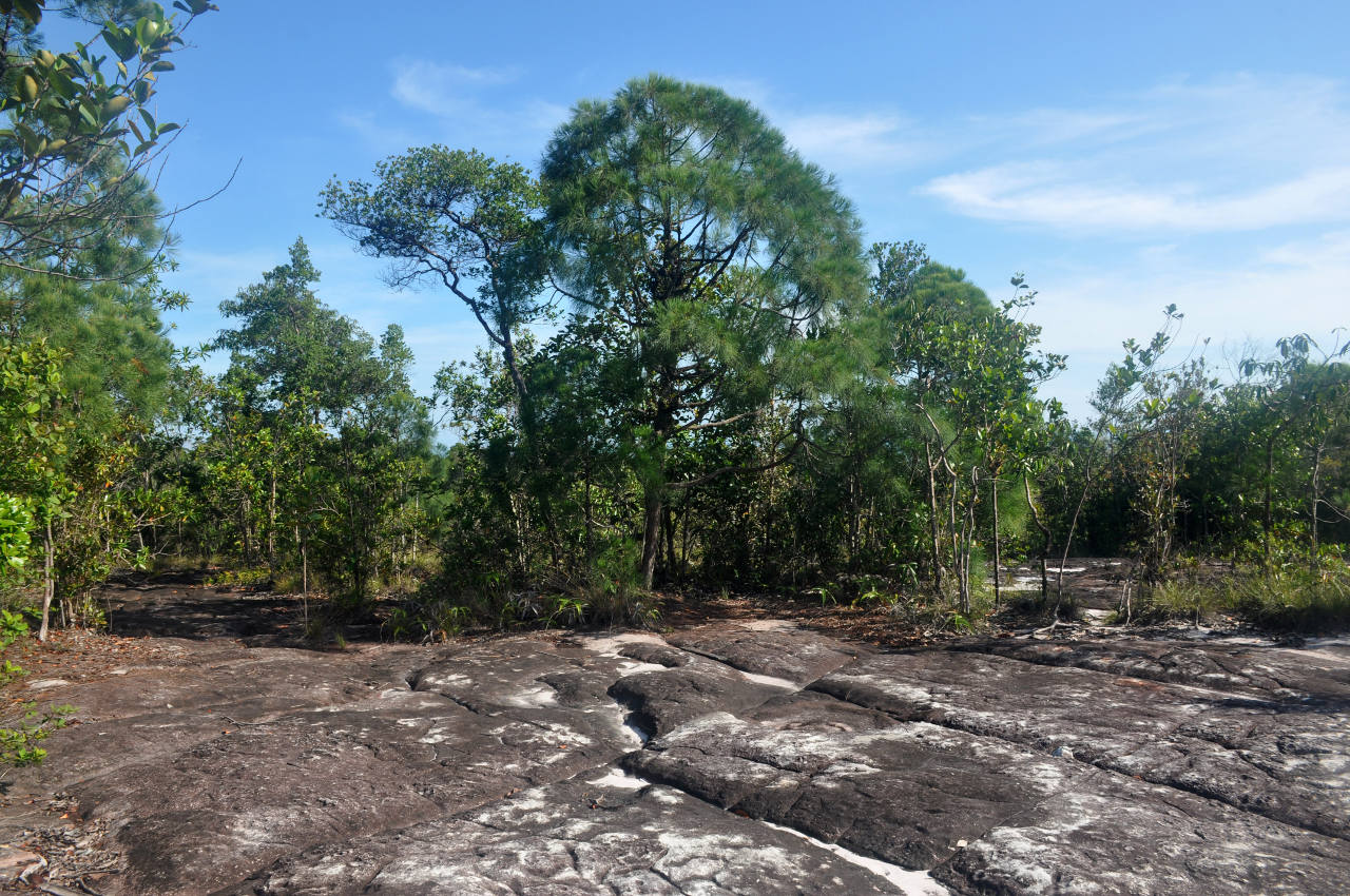 Национальный парк "Бако", image of landscape/habitat.