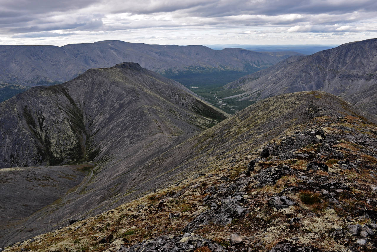 Пик Марченко, image of landscape/habitat.