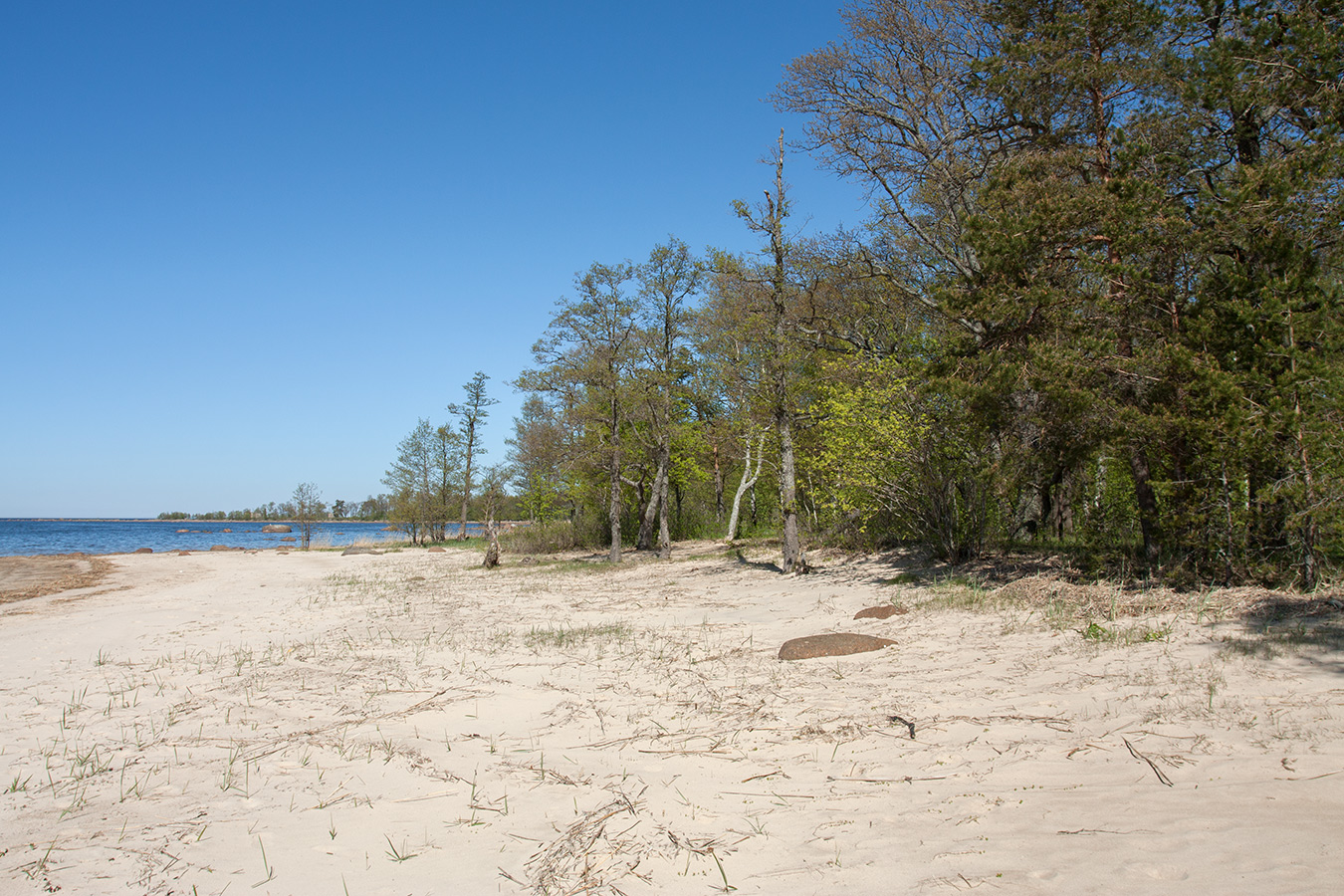 Мыс Дубовский, image of landscape/habitat.