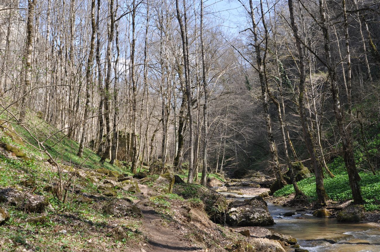 Долина реки Мишоко, image of landscape/habitat.