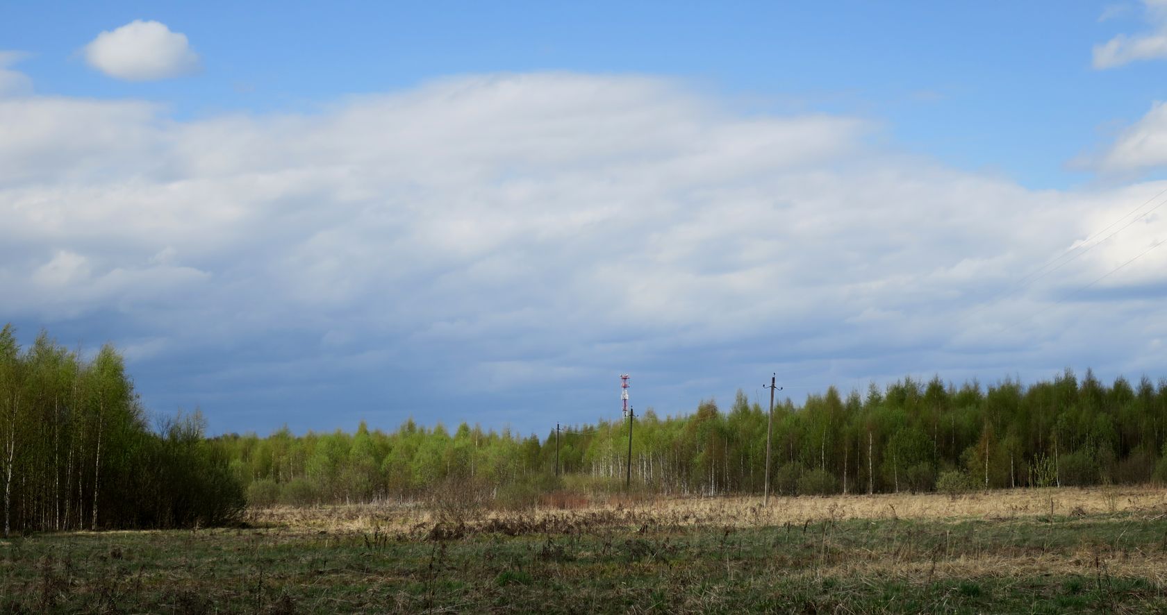 Ярцево, image of landscape/habitat.