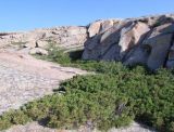 Landscape image