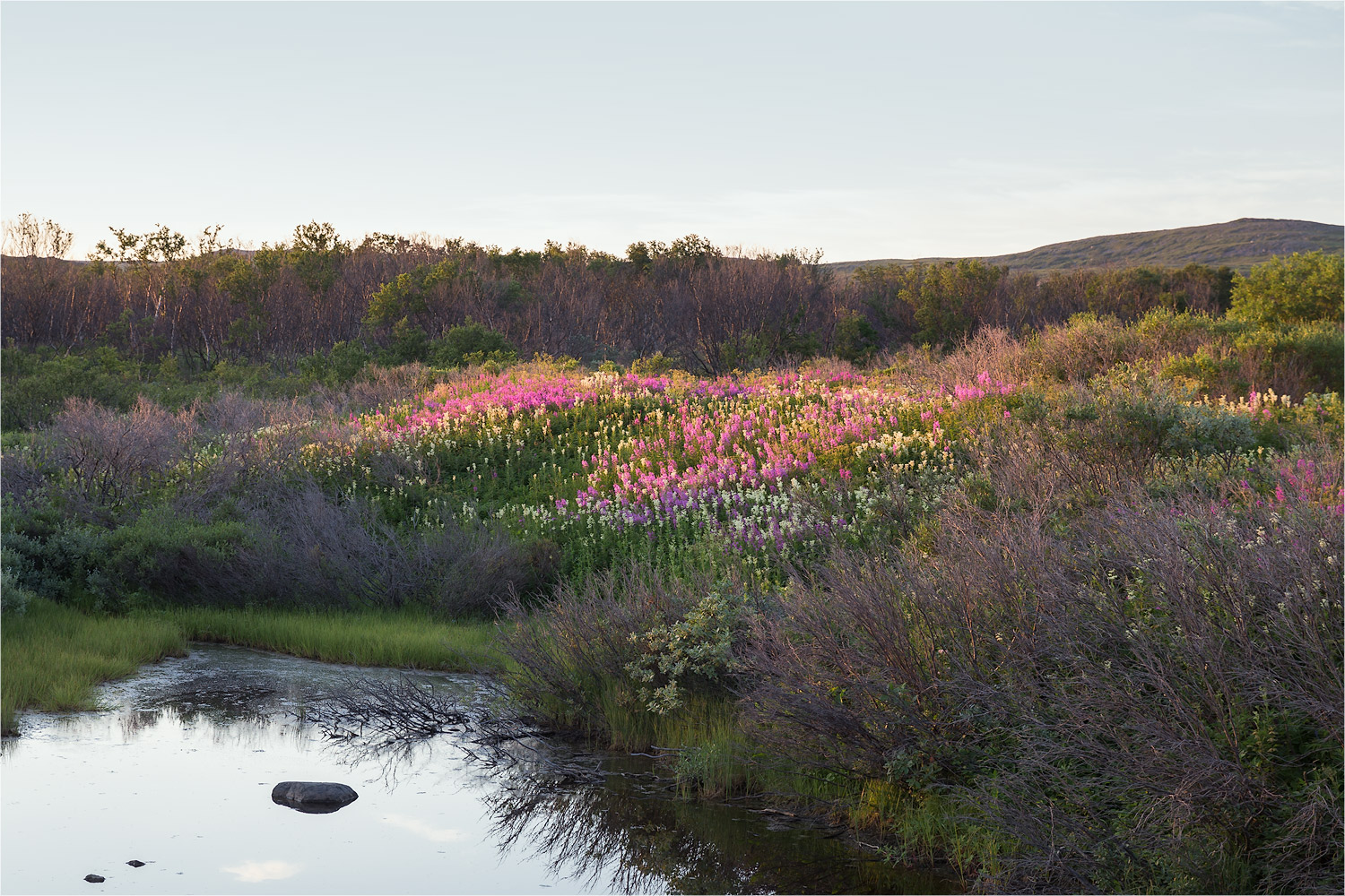 Бухта Озерко, image of landscape/habitat.
