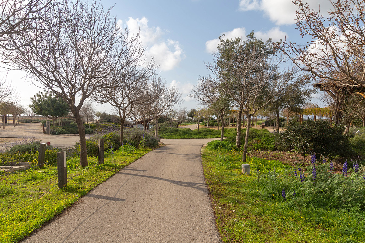 Парк Ариэля Шарона, image of landscape/habitat.