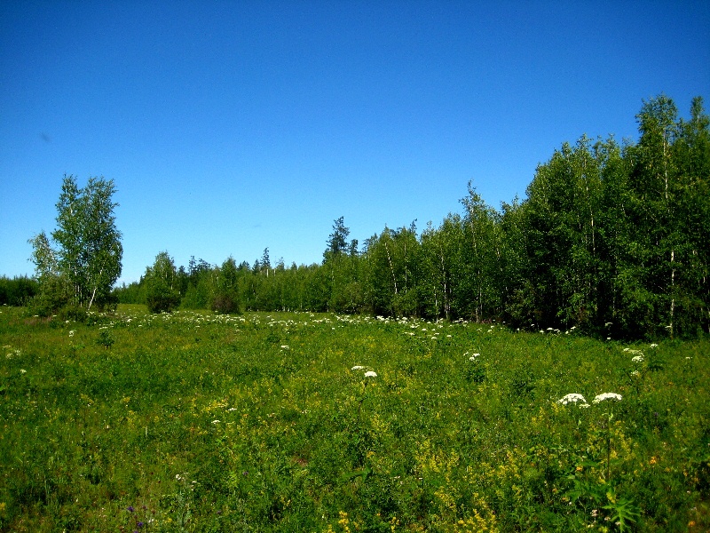 Кескил, image of landscape/habitat.