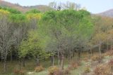 Image of landscape