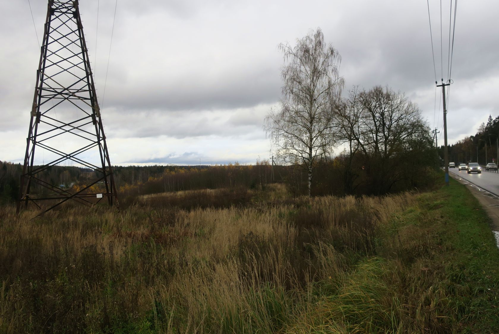 6-й км Красноармейского шоссе, image of landscape/habitat.